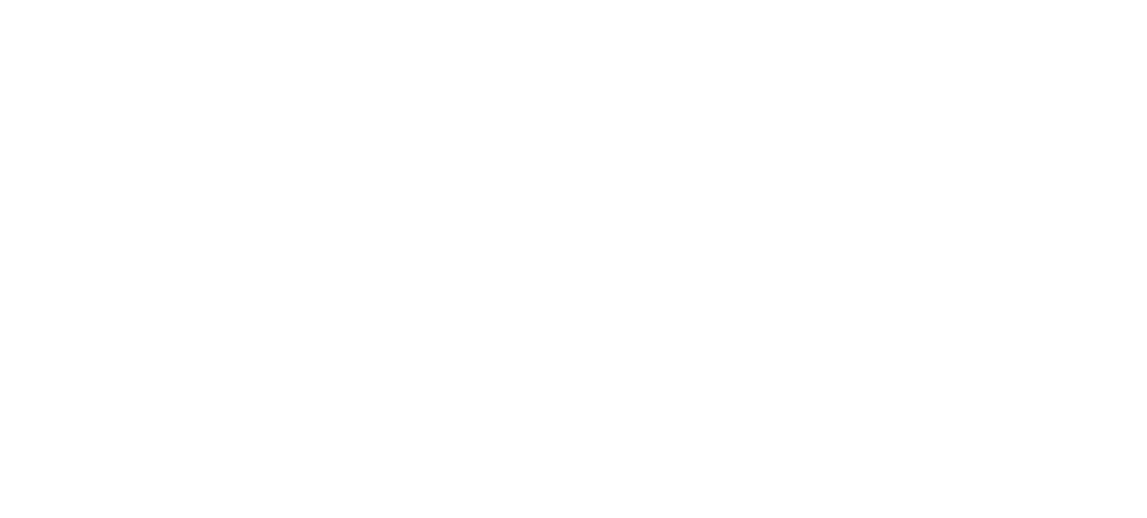 Logo MT Express